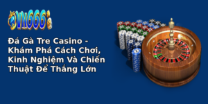 Đá Gà Tre Casino - Khám Phá Cách Chơi, Kinh Nghiệm Và Chiến Thuật Để Thắng Lớn 16 a ga tre casino kham pha cach choi kinh nghiem va chien thuat e thang lon