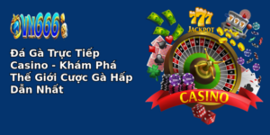 Đá Gà Trực Tiếp Casino - Khám Phá Thế Giới Cược Gà Hấp Dẫn Nhất 17 a ga truc tiep casino kham pha the gioi cuoc ga hap dan nhat